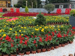 -南通濠河风景名胜区