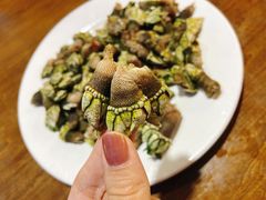 鸡爪螺（佛爪螺）-四季美蚝皇