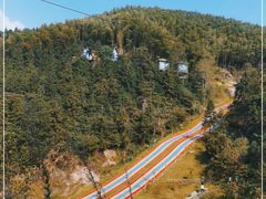 -长沙黑麋峰国家森林公园