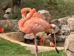 -沈阳森林动物园