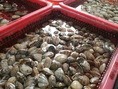 -西涌国际滨海旅游区