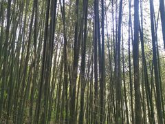 -西安金龙峡风景区