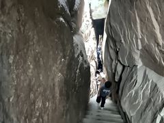 -鲁山国家森林公园