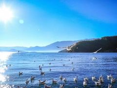 -泸沽湖里格半岛