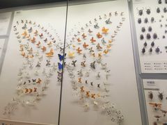 -四川大学博物馆