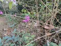 -东钱湖旅游度假区