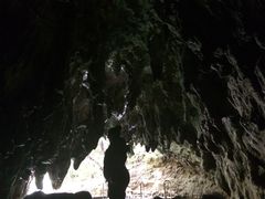 -怀托摩萤火虫洞