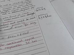 -JT PREP国际学科课程·IB·AP·Alevel(陆家嘴校区)