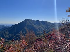 -大岭沟猕猴桃谷风景区