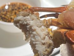-新白鹿餐厅(松江开元地中海店)