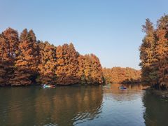 -上海海湾国家森林公园