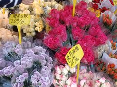 -循礼门鲜花花市(武汉循礼门店)