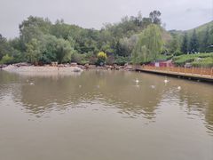 -青藏高原野生动物园