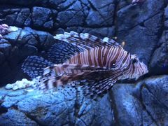 -成都浩海立方海洋公园