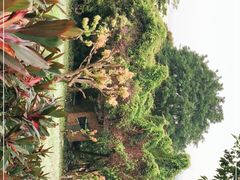 -云溪植物园