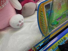 -汤姆熊欢乐世界(大连恒隆广场店)