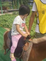 -萌宠亲子动物乐园(槐房万达店)