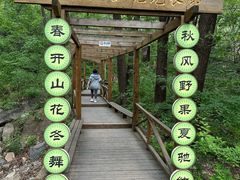 -大岭沟猕猴桃谷风景区