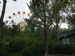 -西安市长乐公园