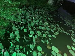 -上海怡沁园度假酒店