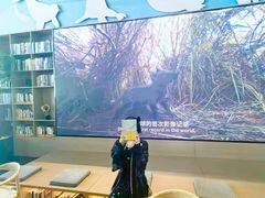 -抱抱地球咖啡馆(国家海洋博物馆店)