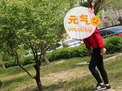 -北京上庄水库尚野露天户外自助烧烤
