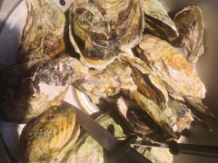 高压锅生蚝-鲜螺湾(鹏欣丽都店)