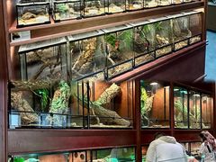 -帕帕拉兹宠物(亚洲旗舰店)