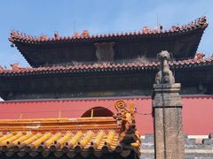 -北陵公园
