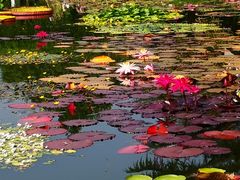 -国家植物园南园