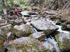 -五女峰国家森林公园