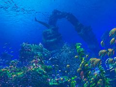 -海合安武汉极地海洋公园
