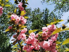 -长白岛森林公园