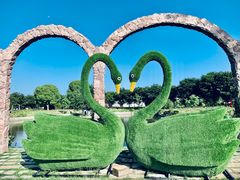 -鹅湖玫瑰文化园