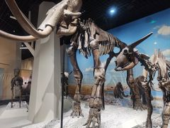 -国家自然博物馆