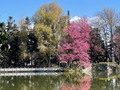 -三塔倒影公园