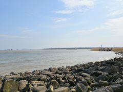 -上海吴淞炮台湾国家湿地公园