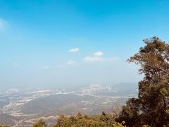 -黄埔油麻山森林公园