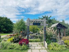 -上海共青森林公园