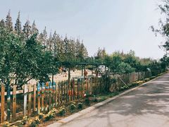 -前小桔亲子创意农场·草莓采摘·露营烧烤