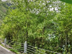 -叠溪松坪沟景区