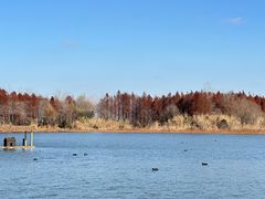 -溱湖国家湿地公园