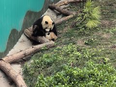 -乐和乐都主题乐园
