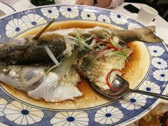 清蒸白鱼-西湖春天•老字号杭州菜(百汇店)