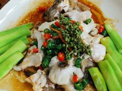 -猪肉婆私房菜(容桂总店)