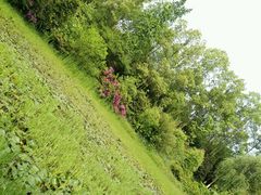 -邓小平故里