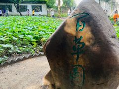 -绍兴鲁迅故里·沈园景区