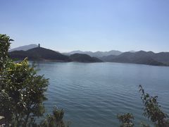 -望湖烤鱼