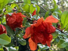 -烟水渔庄餐厅(西溪湿地店)