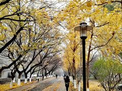 -山东师范大学(千佛山校区)